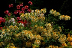 img_0031-3