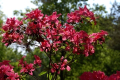 img_0039-2
