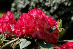 img_0040-2