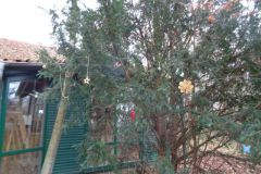 19.12.2015 Jahresabschlusswanderung 