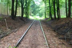03.08.2016 Radwanderung - Fahrraddraisine