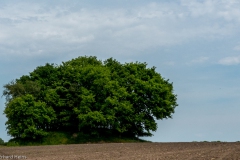 P1010042