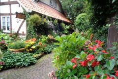 dsc01143