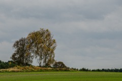 HEI_9233