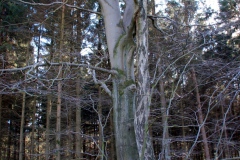 img_0035-24