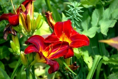 img_0027-22