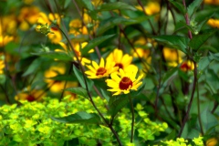 img_0028-22