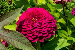 P1010398