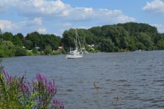 img_0010-36