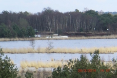 019-13