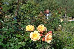 dsc01179