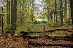 HEI_9274