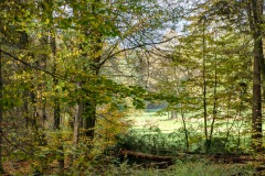 HEI_9275