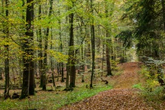 HEI_9276