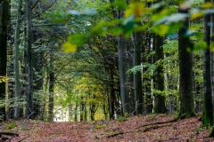 HEI_9286